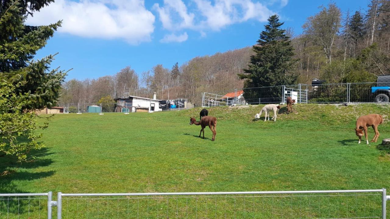 Bergpanorama Ruhla Appartement Buitenkant foto
